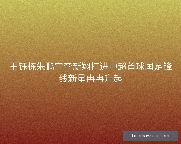 王钰栋朱鹏宇李新翔打进中超首球国足锋线新星冉冉升起