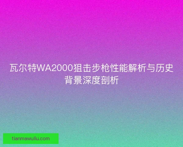瓦尔特WA2000狙击步枪性能解析与历史背景深度剖析