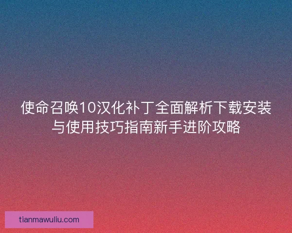 使命召唤10汉化补丁全面解析下载安装与使用技巧指南新手进阶攻略