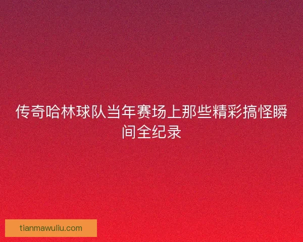 传奇哈林球队当年赛场上那些精彩搞怪瞬间全纪录